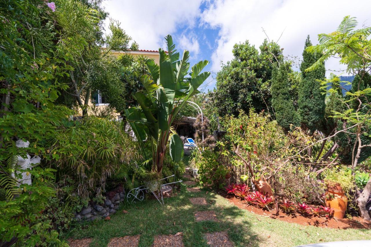 Cyane&Vigo's Cottage, Caminho do Massapez, n.º40 Arco da Calheta  Esterno foto